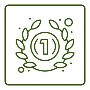17 - mini
